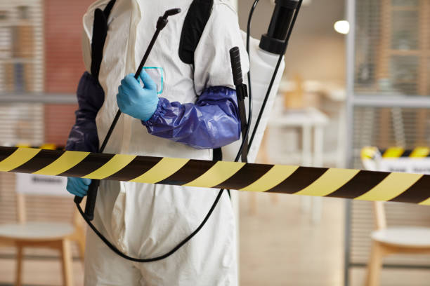 Professional Sewage Cleanup technician working in Kernville, CA