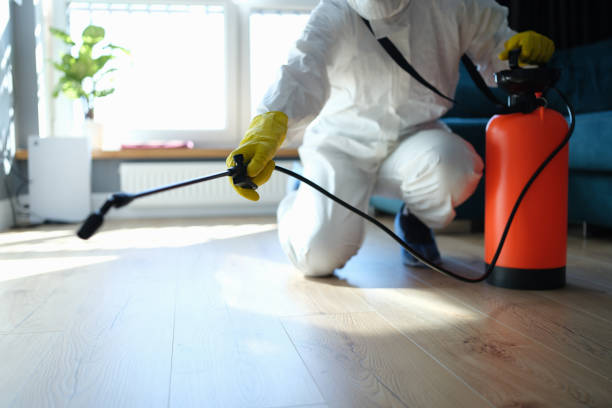 Reliable Sewage Cleanup contractor in Kernville, CA by Trauma Clean Pros